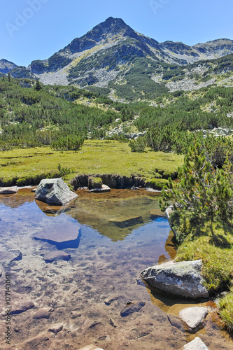 Amazing landscape with Valyavitsa river and Valyavishki chukar peak, Pirin Mountain, Bulgaria photo