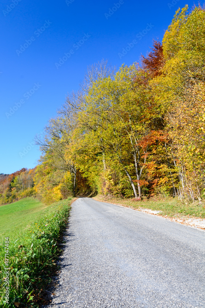 Fototapeta premium Herbst Strasse in den farbigen Wald 