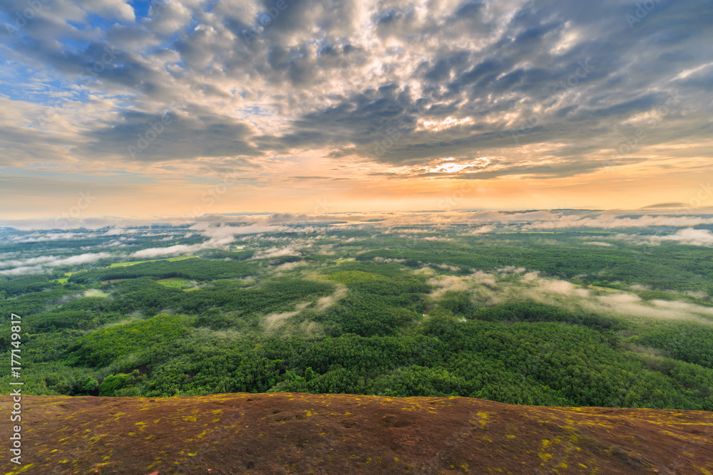 Morning sunrise and foggy of Tree rock whale mountain in Thailand
Morning sunrise and foggy of Tree rock whale mountain in Thailand