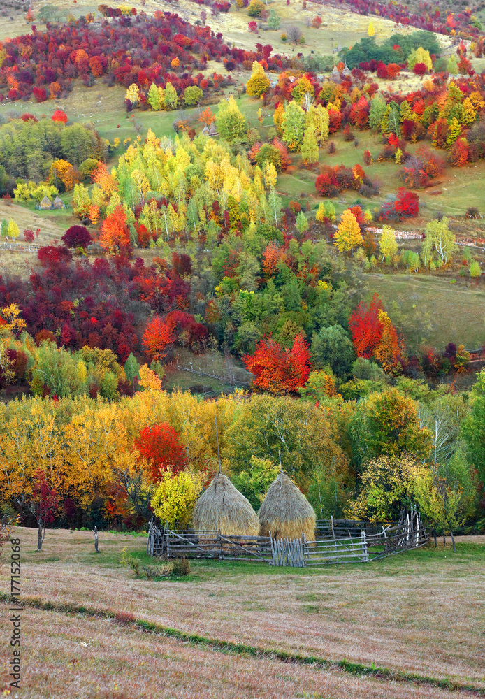 Autumn landscape in the Romanian Carpathians, Europe