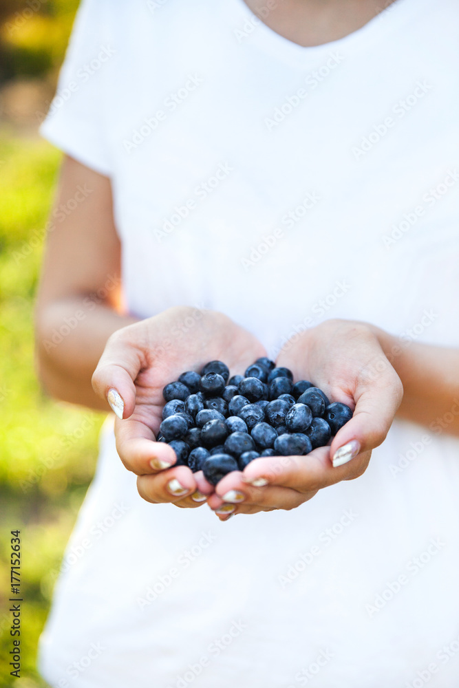 Blueberries in the hands of farmers, women's hands. Fruits, berries, food, nature Blueberries in the hands of farmers, women's hands. Fruits, berries, food, nature
