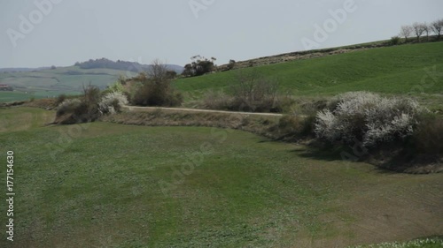 a panoramic view of the Vald' Orcia valley, with green wheat and cypresses and Pienza in background
 photo