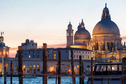 Gondolas moored by Saint Mark square with Cathedral of Santa Maria della Salute on background © Ulia Koltyrina