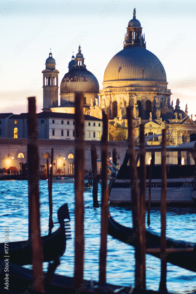 Gondolas moored by Saint Mark square with Cathedral of Santa Maria della Salute on background