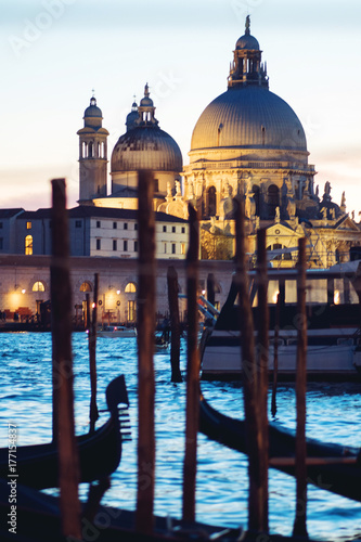 Gondolas moored by Saint Mark square with Cathedral of Santa Maria della Salute on background © Ulia Koltyrina