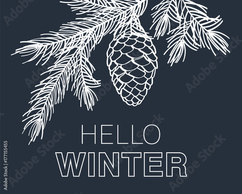 Hello winter card. Background with pine branches and cone.  Hand drawn Christmas, New Year elements with chalk on the blackboard. Vector illustration.