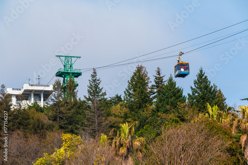 Bottom view of the cableway over the trees of Arboretum in sunny day, Sochi, Russia