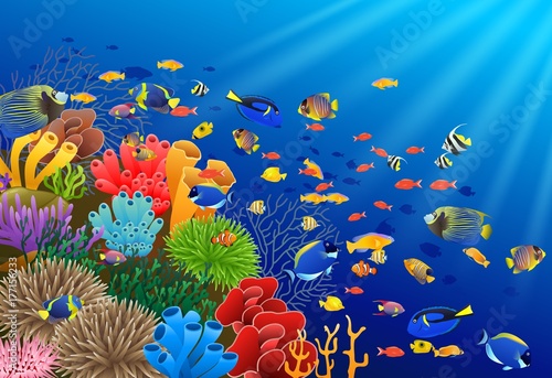 Fish swim in the underwater and coral. Vector illustration