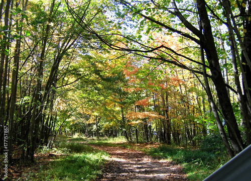 Fall Arch