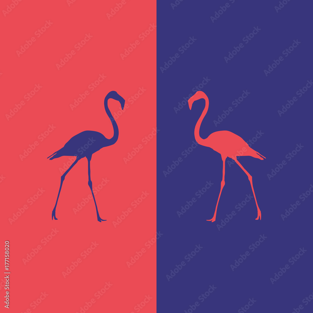 Obraz premium illustration flamingo beautiful