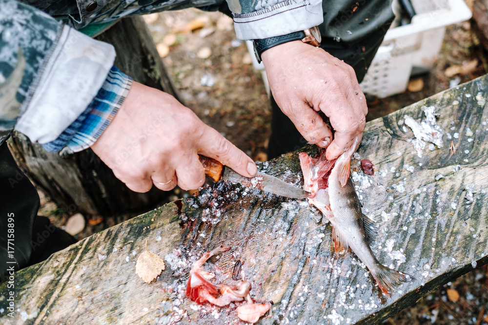 Fisherman cleaning fish on wooden board outdoors Fisherman cleaning fish on wooden board outdoors