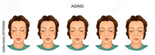 the model of the ageing female face