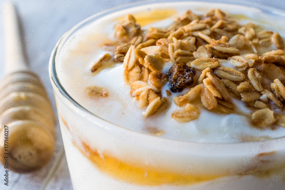 Greek Yogurt with Honey and Granola
Greek Yogurt with Honey and Granola