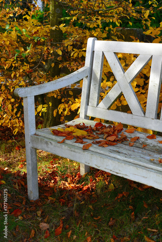 buntes Buchenlaub auf einer alten weißen Holzbank im Garten
