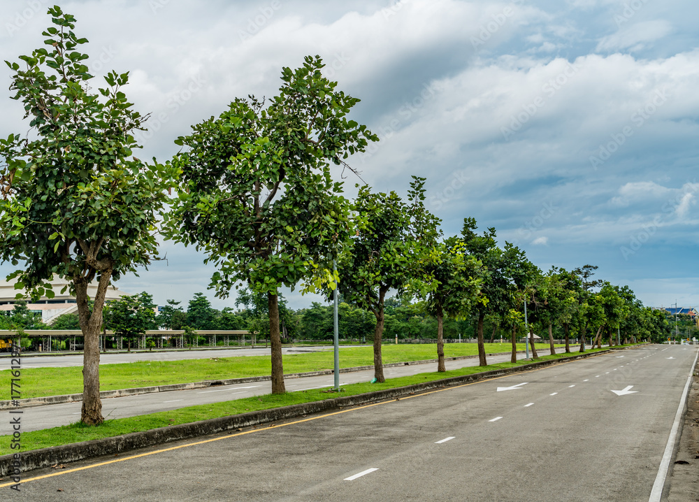 Obraz premium Road in the park