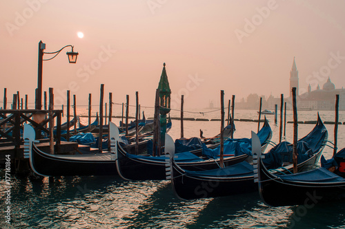 Gondolas moored by Saint Mark square with San Giorgio di Maggiore church on background © Ulia Koltyrina