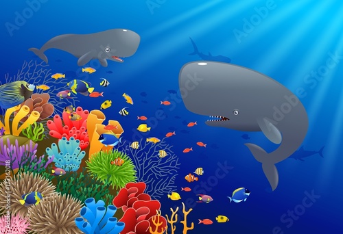 Fototapeta Naklejka Na Ścianę i Meble -  Cartoon sperm whale swimming in the sea. Vector illustration