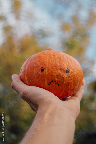 Hokkaido pumpkin with a sad face in hand
