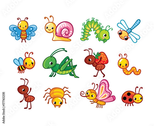 Set of vector insects. Collection of insects in a cartoon style. © svaga