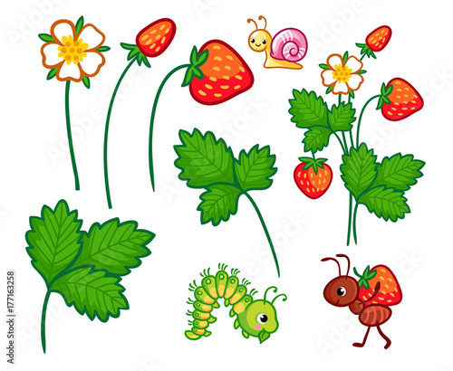 Wallpaper Mural Vector collection of illustrations with wild plants and insects. Set of Forest berries, flowers and insects in a cartoon style. Torontodigital.ca