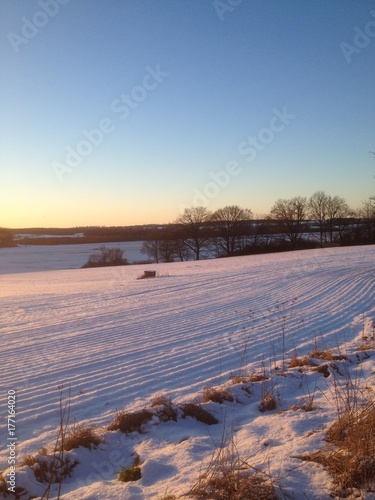 Winterlandschaft