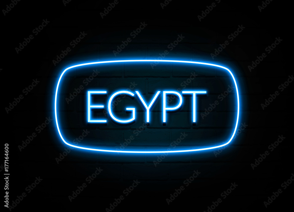 Egypt  - colorful Neon Sign on brickwall