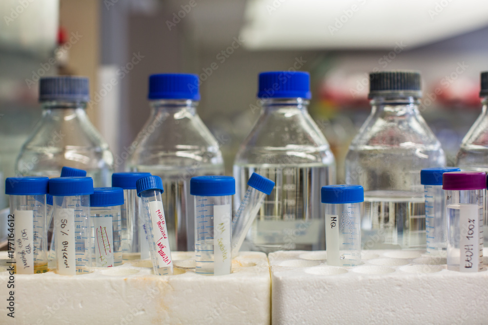 Sterile Bottles in Chemistry Lab Stock Photo Adobe Stock