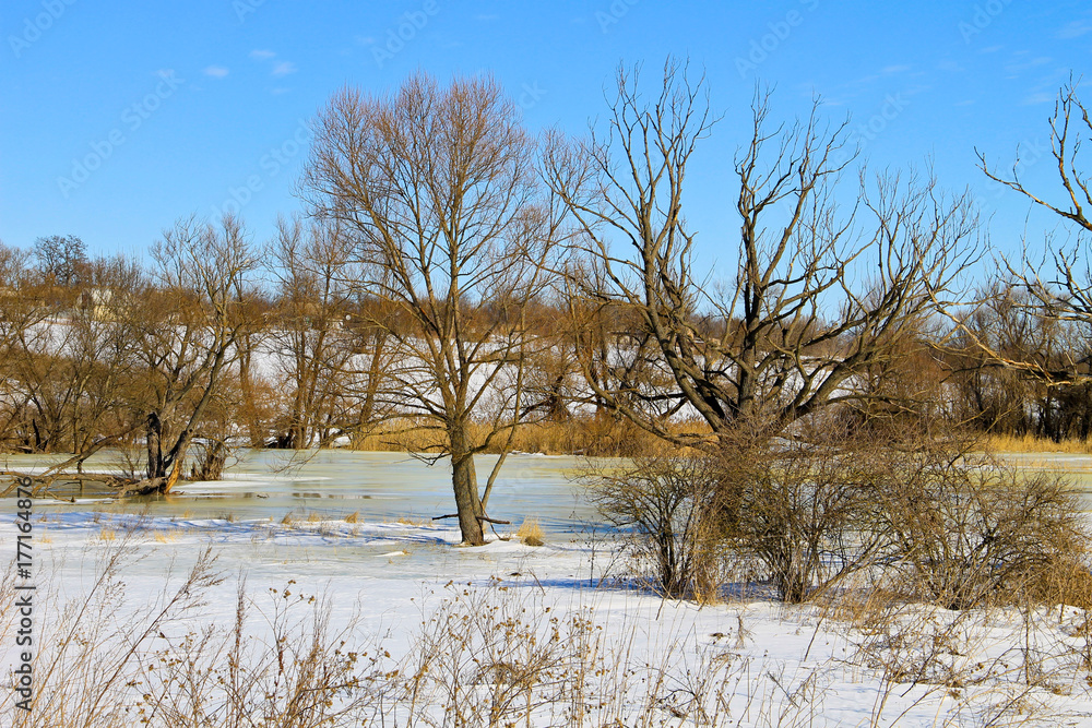 Winter meadow with frozen water and trees Winter meadow with frozen water and trees
