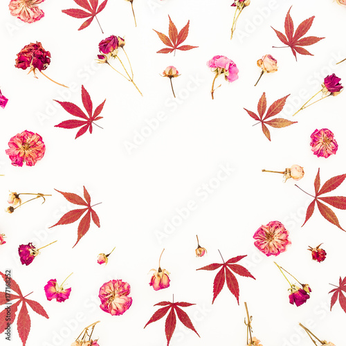 Autumn composition of autumn red maple leaves and dried roses on white background. Flat lay, top view.