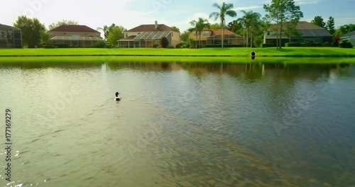 Oviedo_Florida_Pond_Duck_Drone