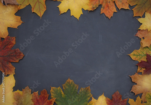 Frame of autumn leaves on chalkboard background