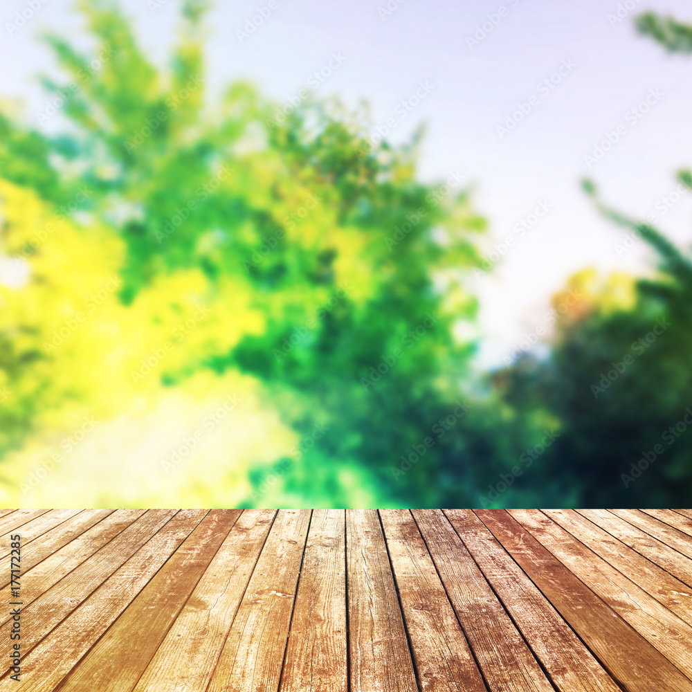 Blurred of trees view background. Panoramic banner for montage product display or design key visual layout. Blurred of trees view background. Panoramic banner for montage product display or design key visual layout.