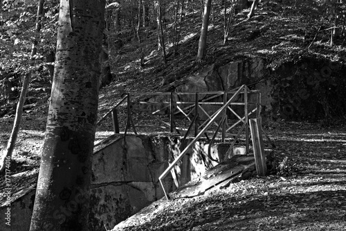 Ein Metallgitter im Wald an einem Waldweg