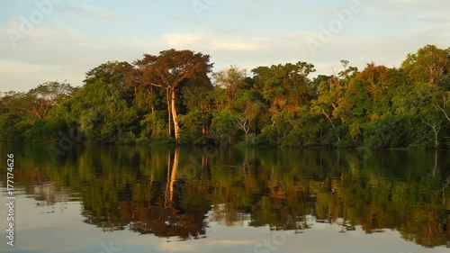 Amazing and beautiful shot of the Amazon rainforest  in Brazil