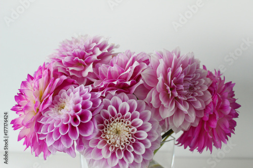 Pink und weiße Blumen in einer Vase
