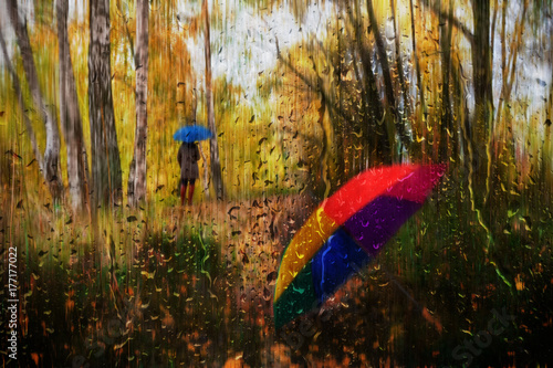 Multi-colored umbrella in the park and a girl under an umbrella on a background of autumn leaves in the rain, the concept of rainy autumn weather and hydrometeor and meteorology