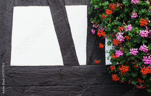 German house with flowers. Background photo