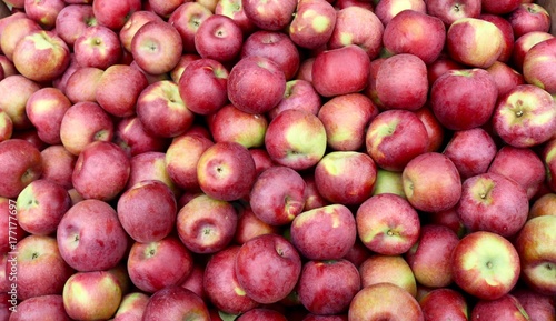 Apples, Apples, Apples