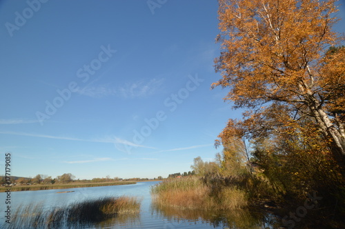 Herbststimmung am See