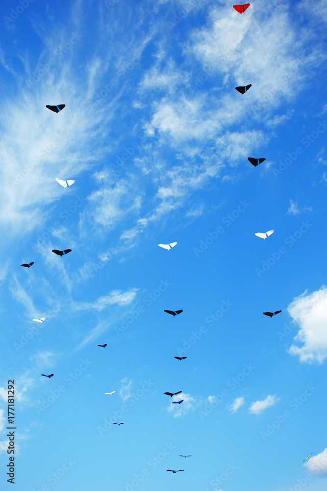 Group of kites in the blue sky
