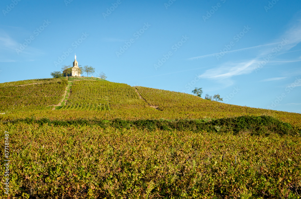 Hill of Fleurie village