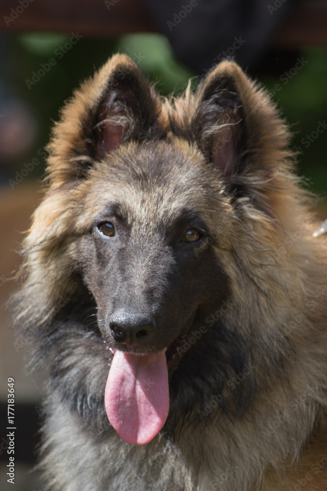 Tervuren Tervuren