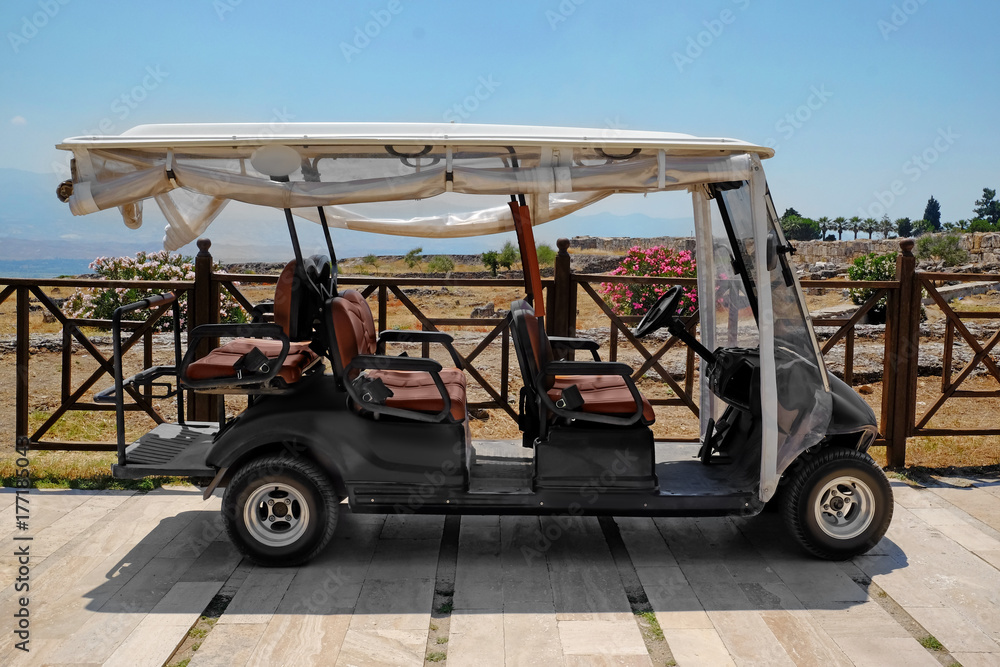 Modern buggy parked at resort