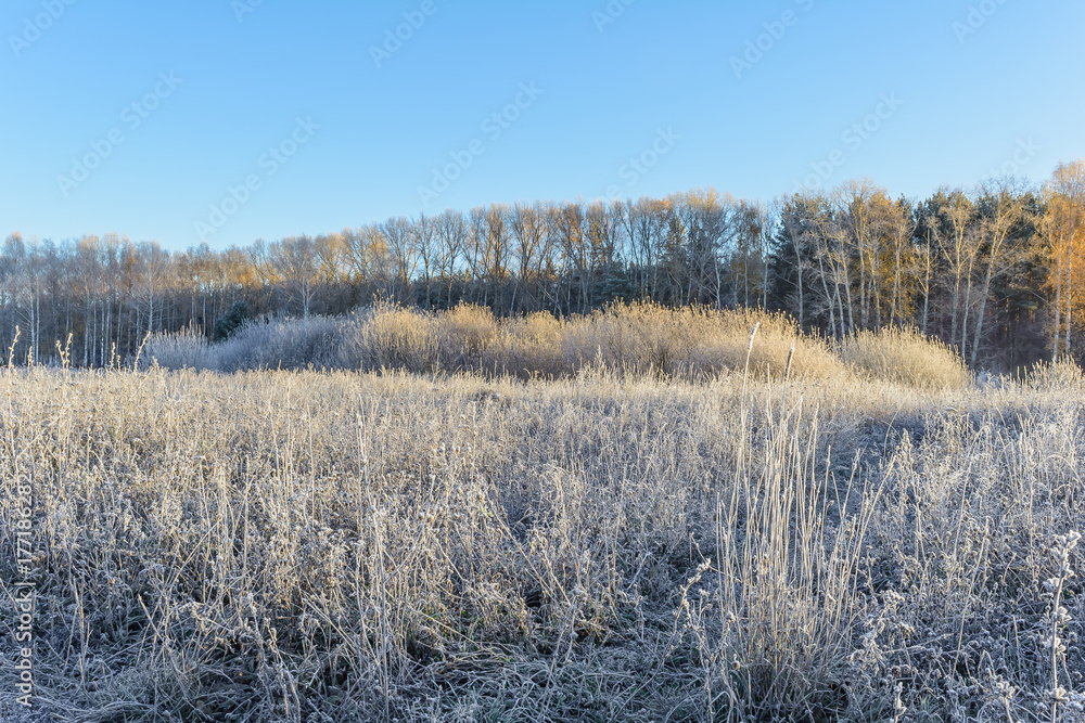 First Frost First Frost
