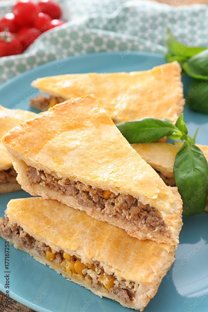 Pieces of delicious meat pie on plate Pieces of delicious meat pie on plate
