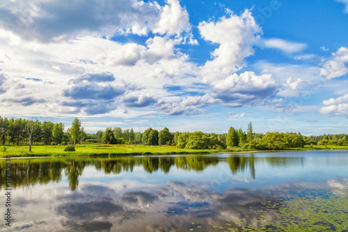 Beautiful natural landscape. Wood, river and blue sky. © Vitalez