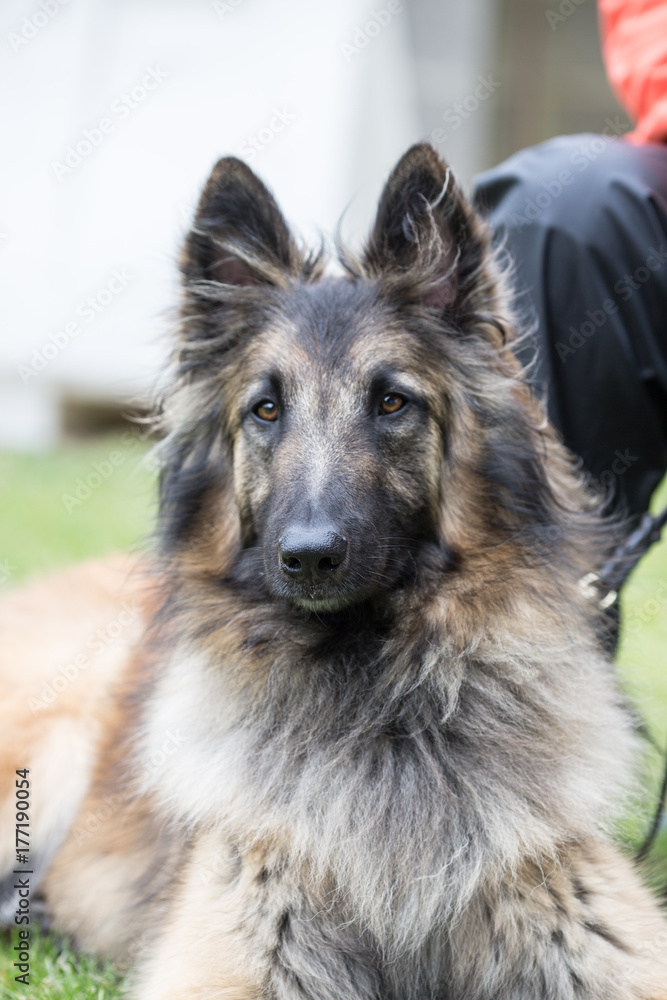 Tervuren Tervuren