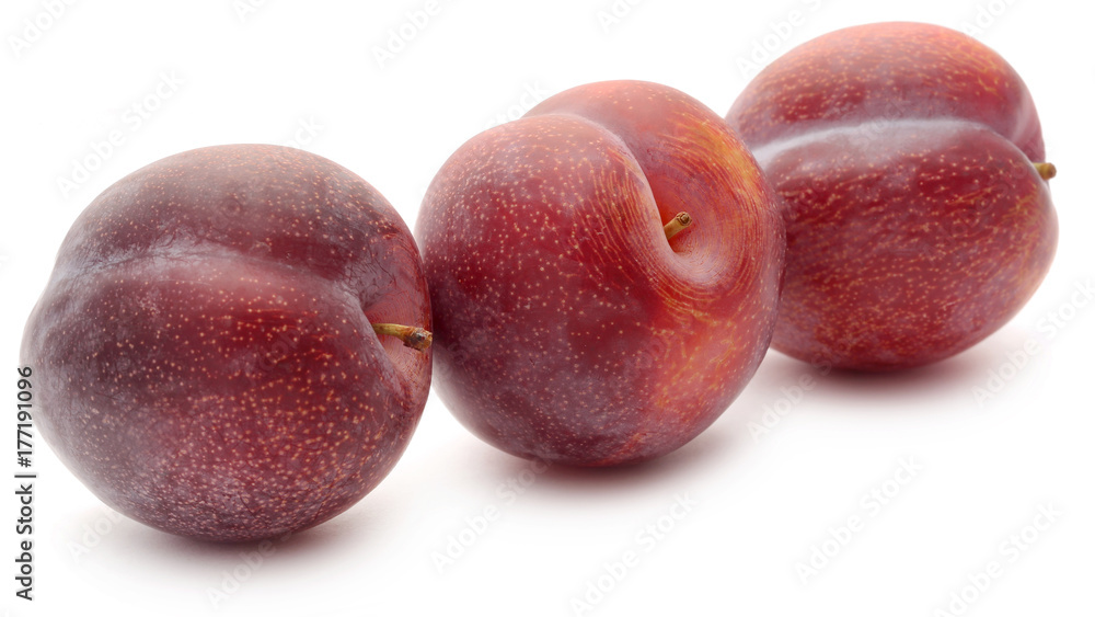 Obraz premium Blommer