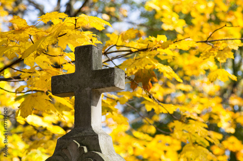Stary kamienny krzyż na cmentarzu w otoczeniu jesiennych drzew. Symbol chrześcijaństwa. 