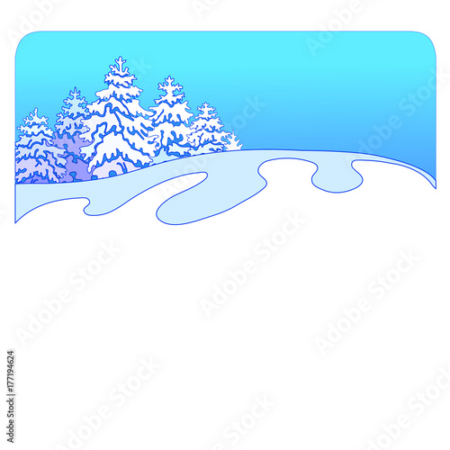 Spruce forest background 